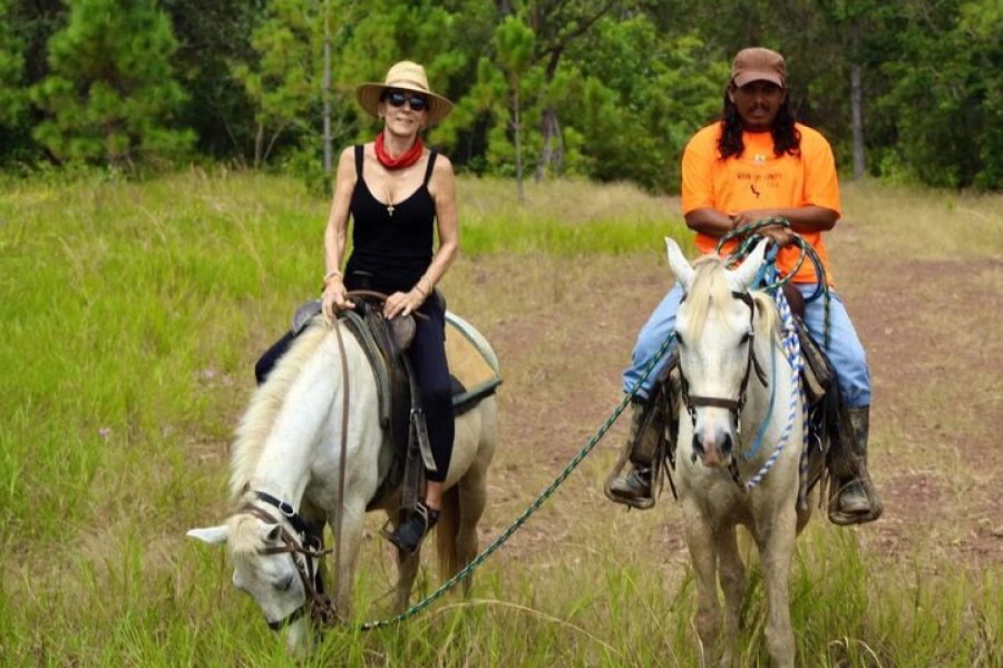 Coffee Plantation Tour with Horseback Riding
