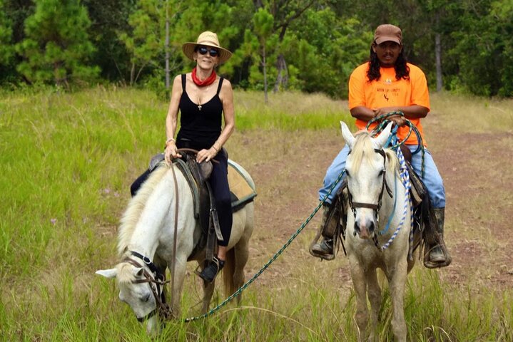 Coffee Plantation Tour with Horseback Riding