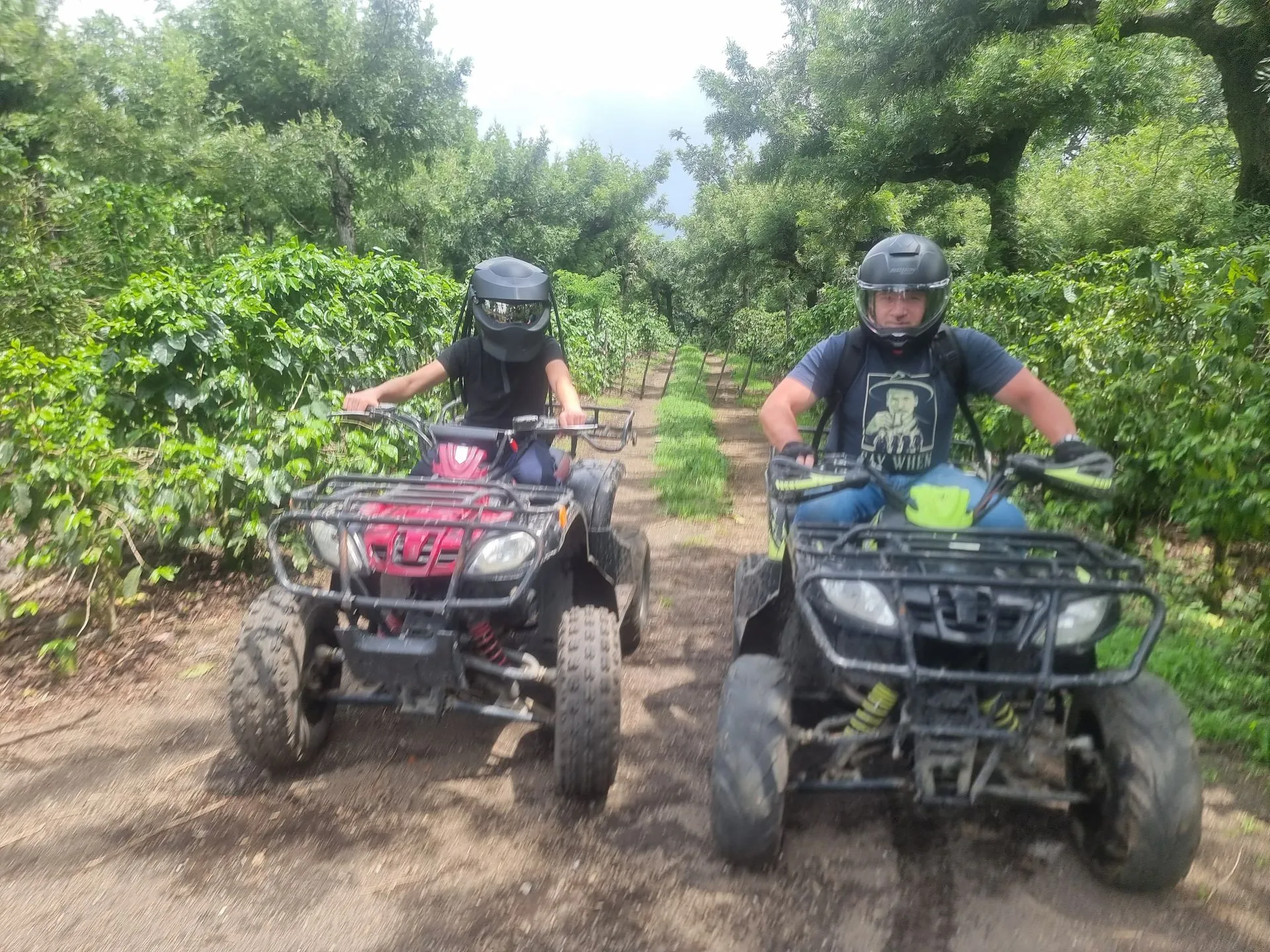 coffee plantation tour guatemala atv