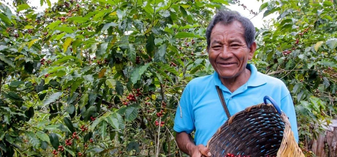 La Azotea Coffee Plantation Tour by ATV