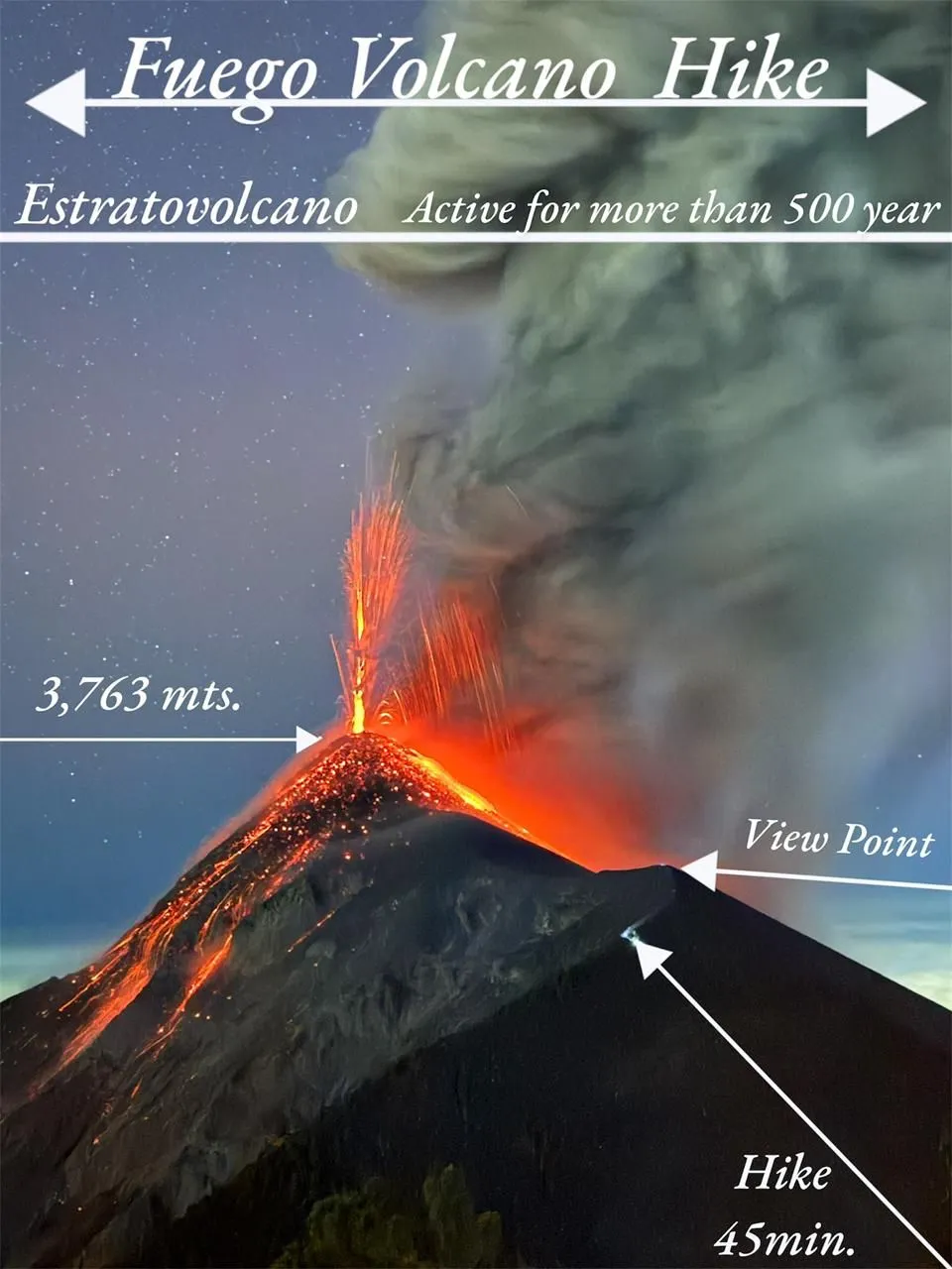 WhatsApp+Image+2025-02-04+at+12.47.53+PM+(4)-1920w