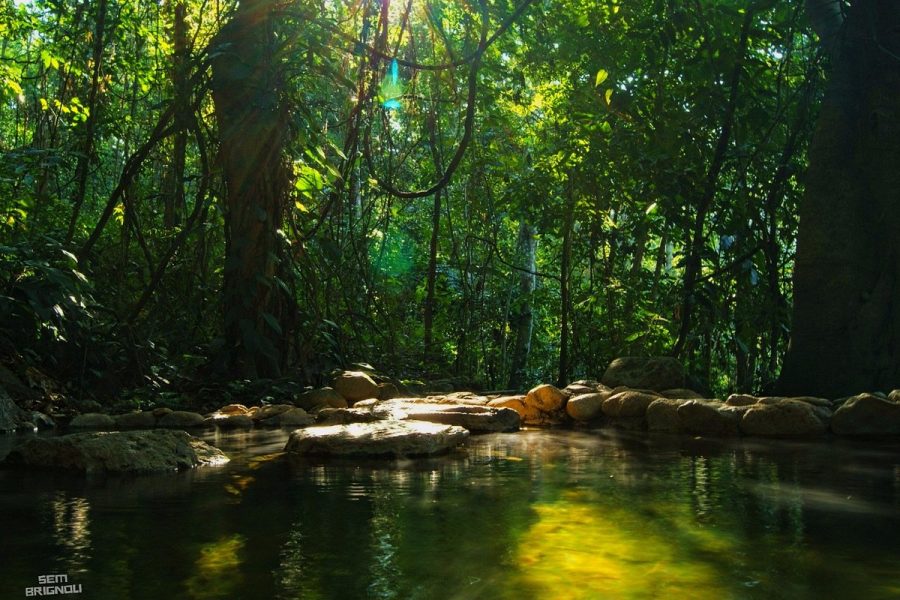 Copán Ruins 2-Day Tour