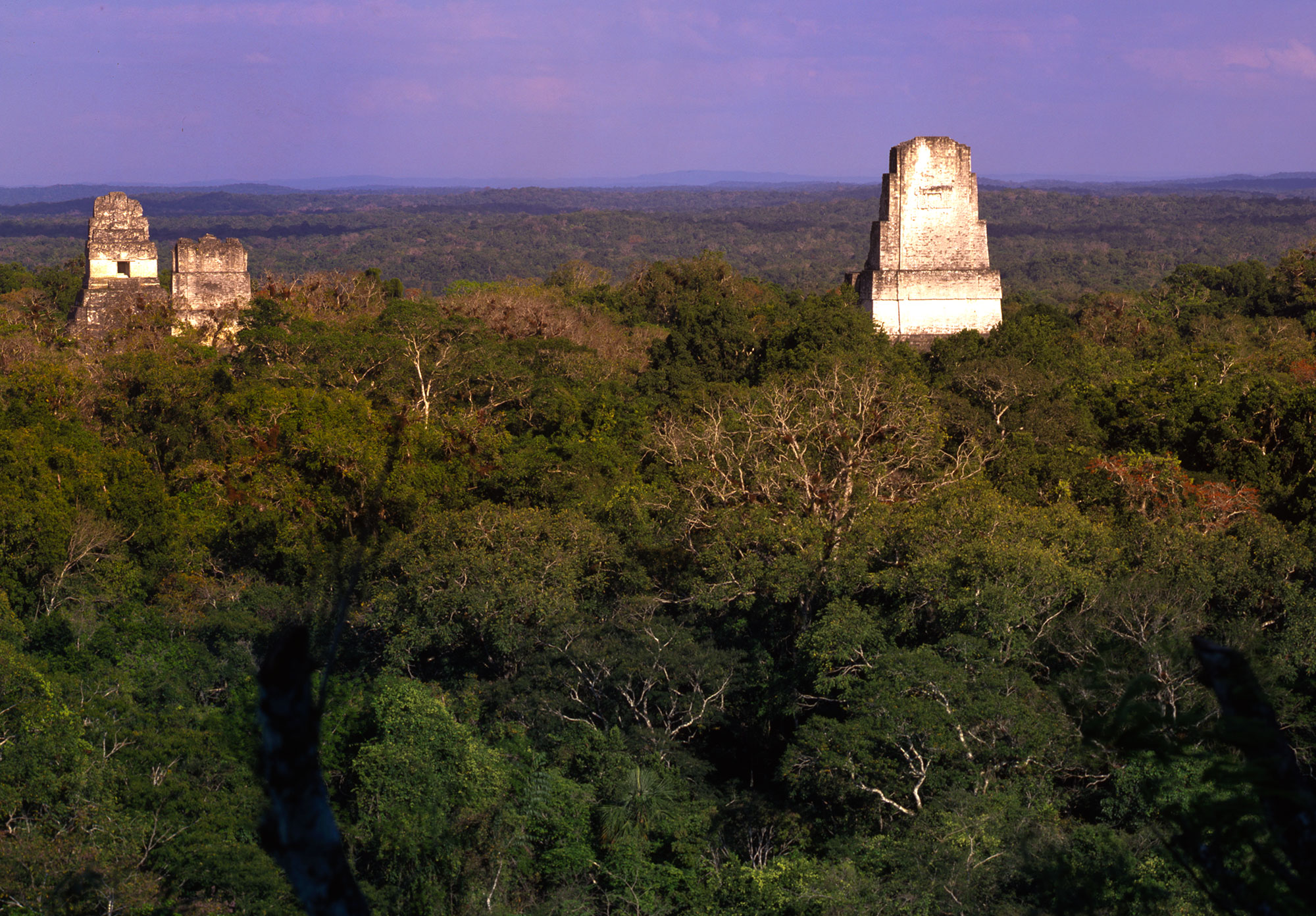 Excursion dans la jungle de Petén : Tikal, Yaxhá, Cratère bleu et île de Flores