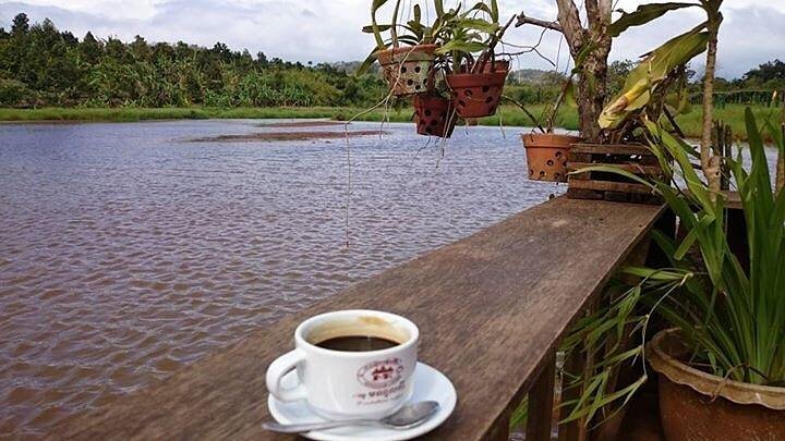 Historic Coffee Plantation Tour