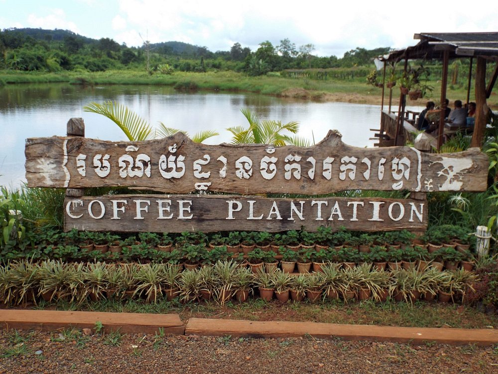 Historic Coffee Plantation Tour