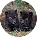 Jaime Estrada profile picture